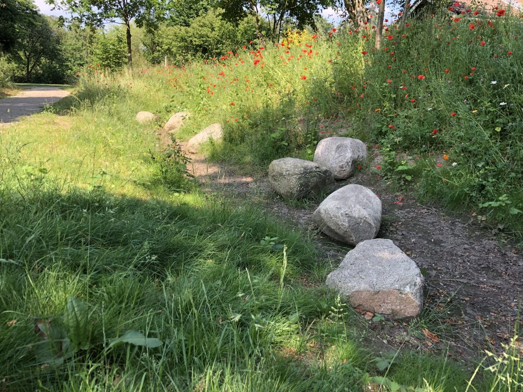 foto van de wadi aan de pijnboomhof in dieren