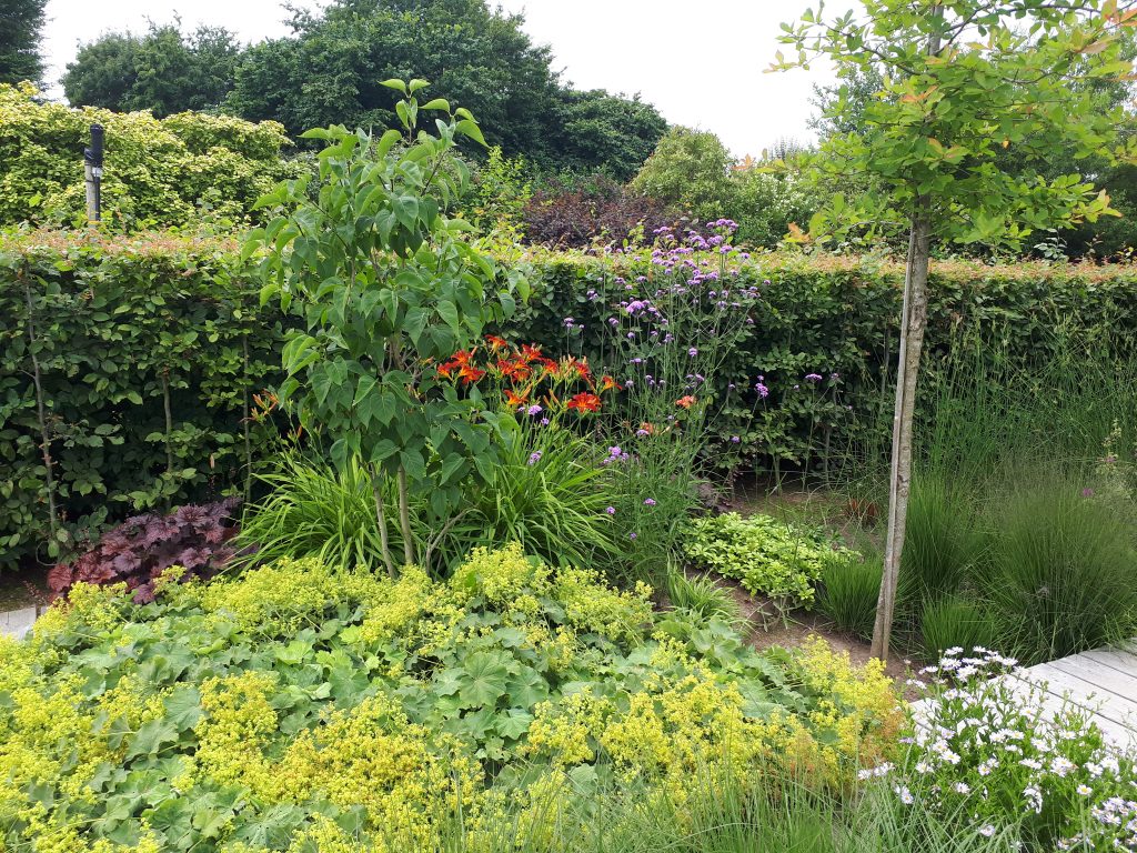 afbeelding van een groene tuin