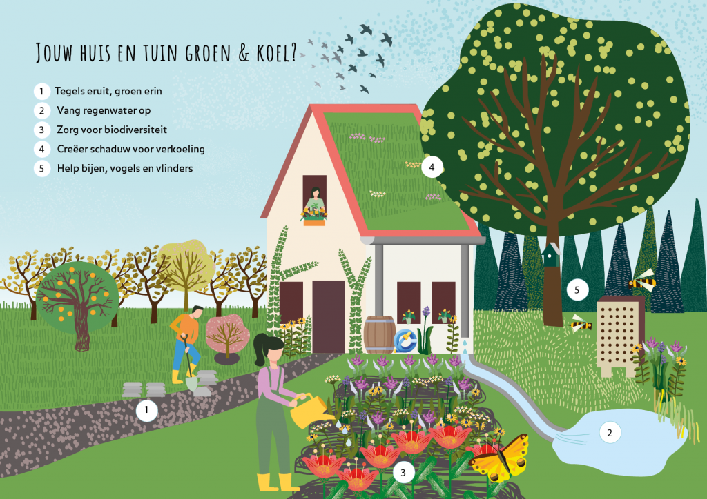 Infographic over jouw huis en tuin, groen en koel, met een getekend huis en tuintje en een bewoner die de plantjes water geeft